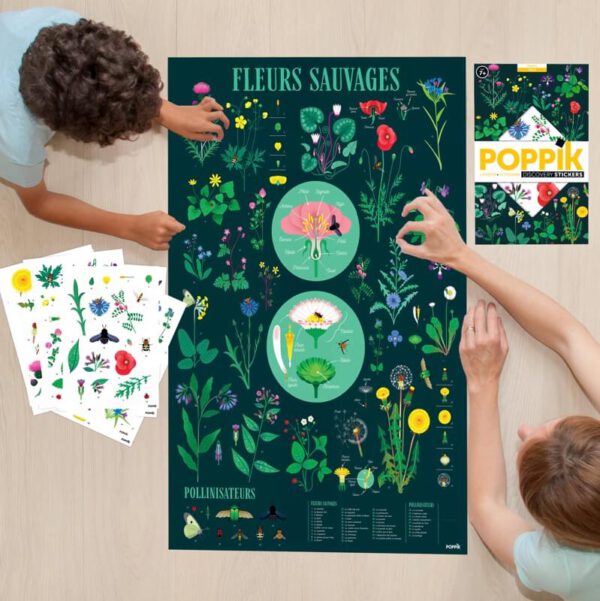 POPPIK Vzdělávací samolepkový plakát BOTANIC - Image 2